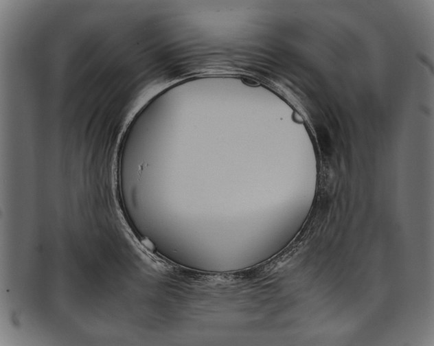 X0000097881195200803281217