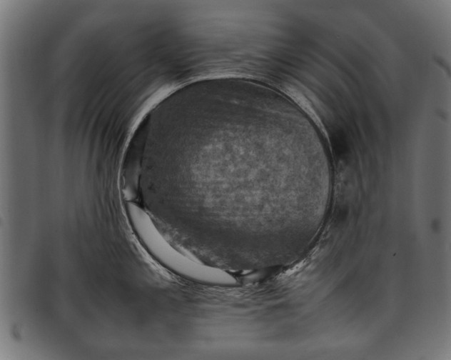 X0000097881197200803281216