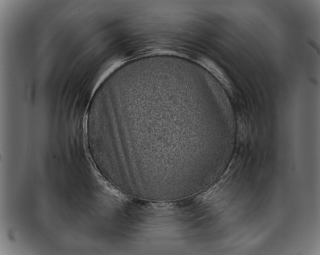 X0000097881198200803281216