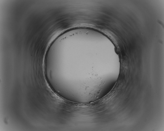 X0000097881199200803281216