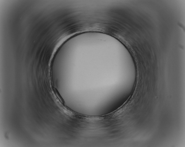 X0000097881200200803281216