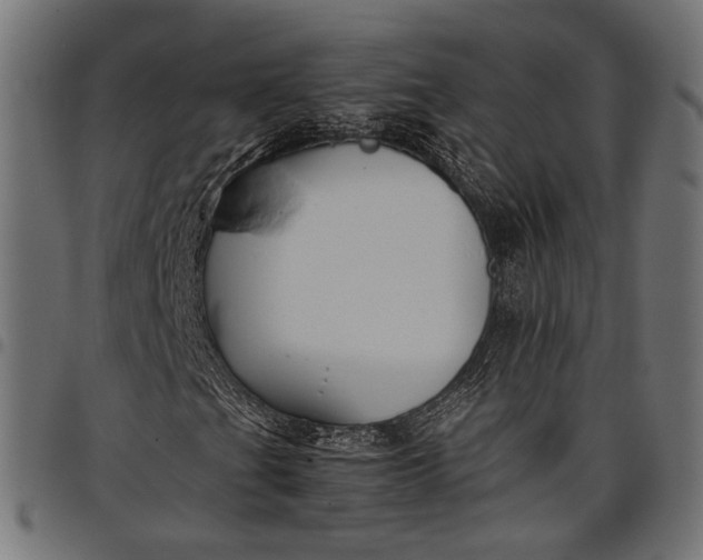 X0000097881201200803281216