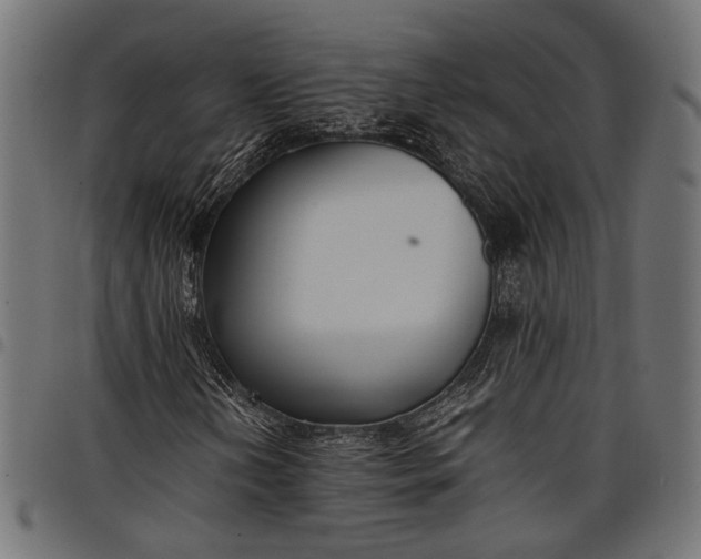 X0000097881202200803281216