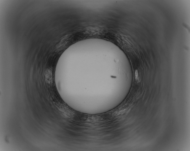 X0000097881203200803281216