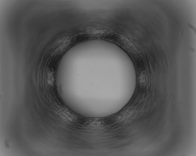 X0000097881204200803281216