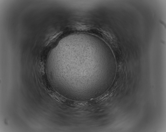 X0000097881205200803281216