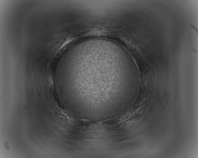 X0000097881206200803281216