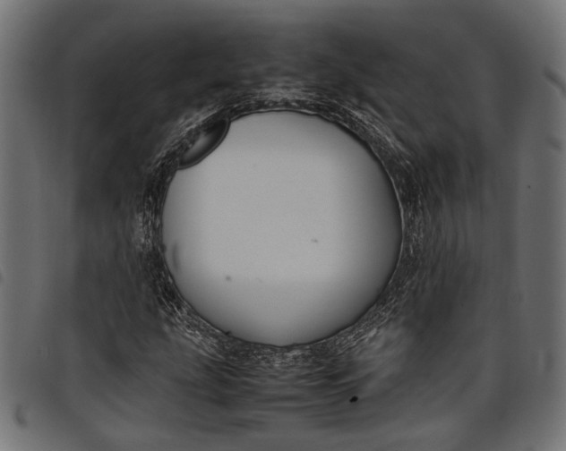 X0000097881207200803281216