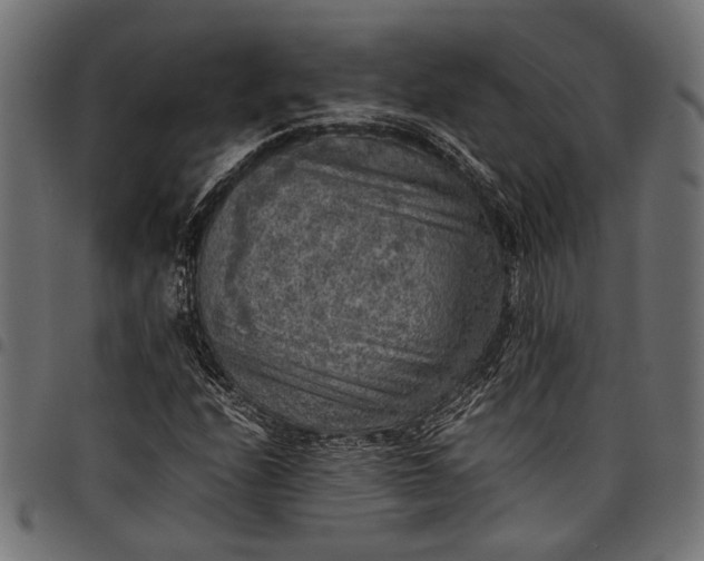 X0000097881208200803281216