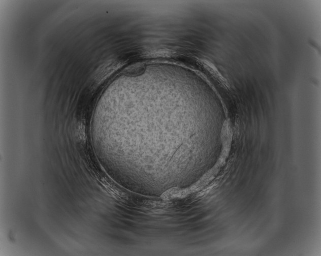 X0000097881209200803281216