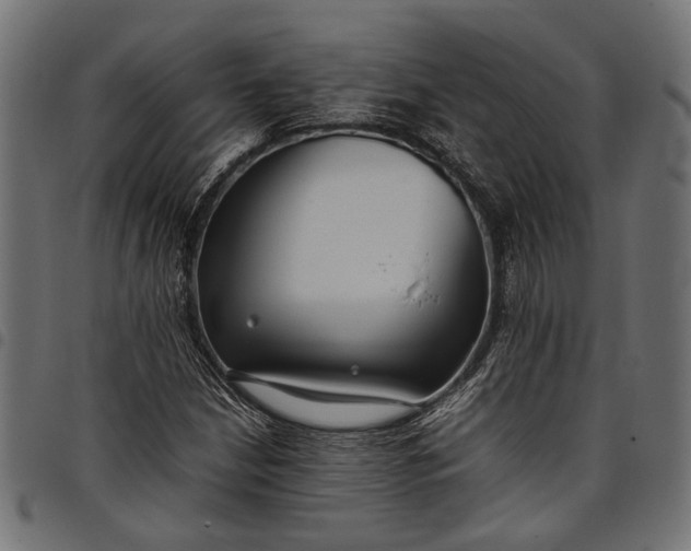 X0000097881210200803281216