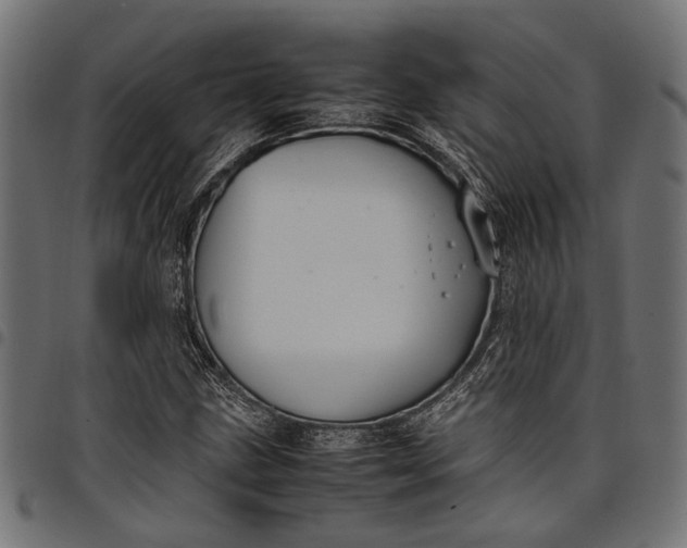 X0000097881211200803281216