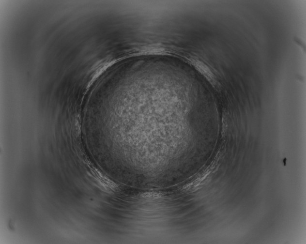 X0000097881212200803281216