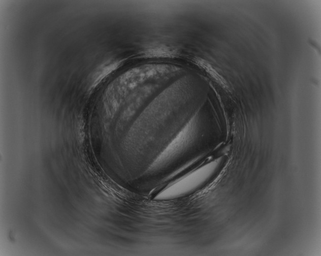 X0000097881213200803281216