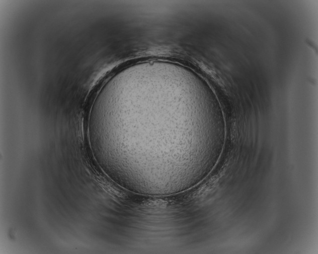 X0000097881214200803281216