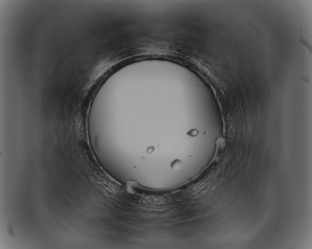 X0000097881215200803281216