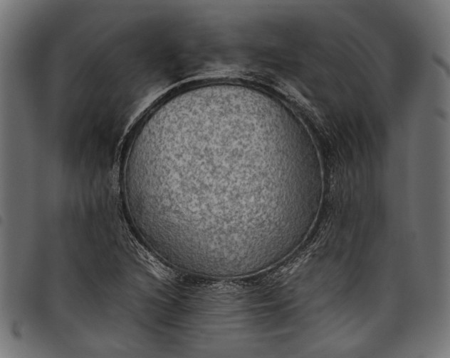 X0000097881216200803281216