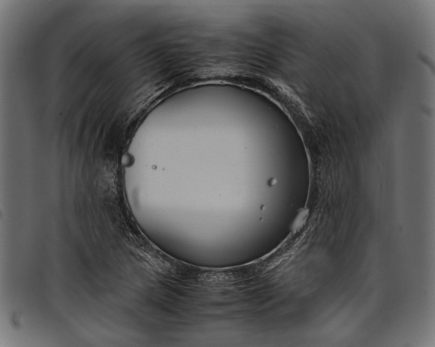 X0000097881217200803281216