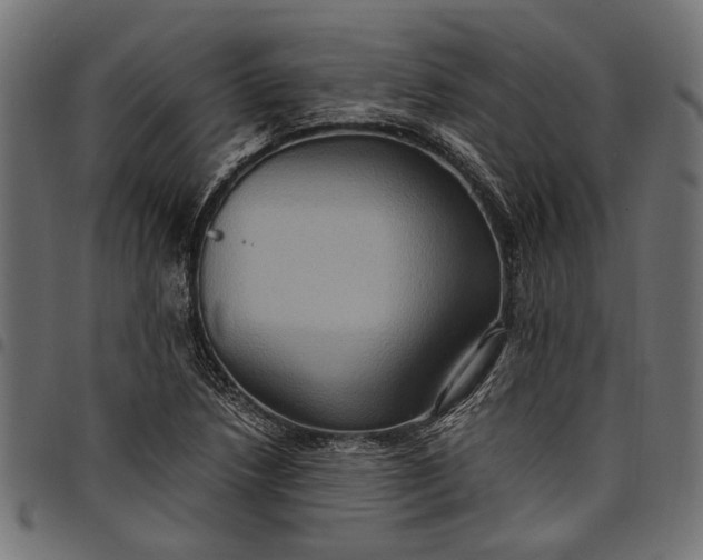 X0000097881218200803281216