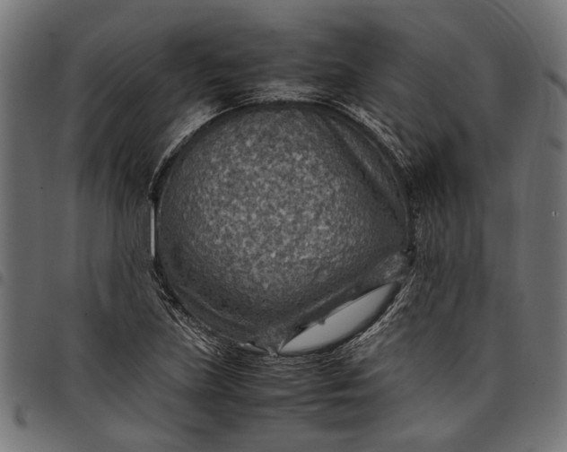 X0000097881219200803281216