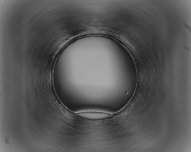 X0000097881220200803281216