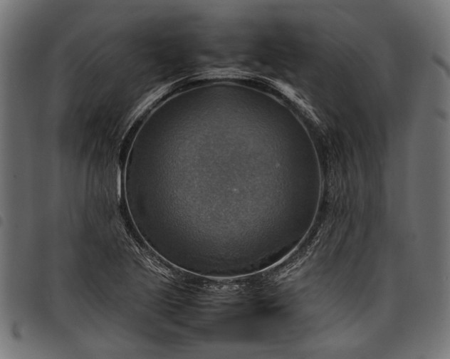 X0000097881221200803281216