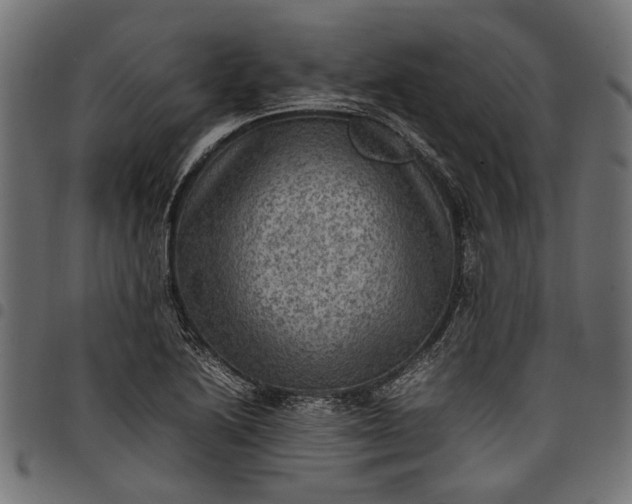 X0000097881222200803281216