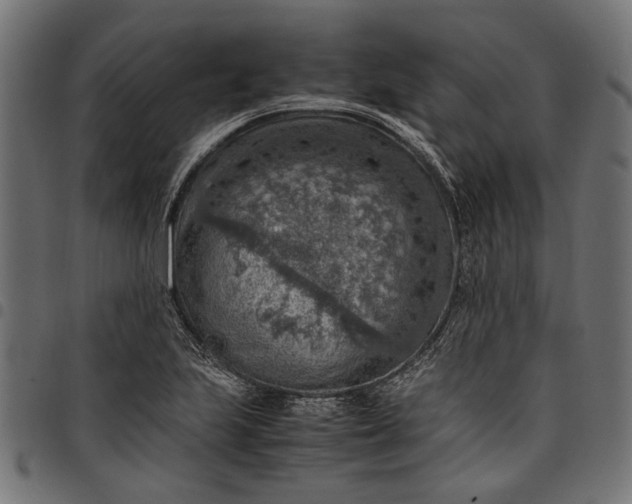 X0000097881223200803281216