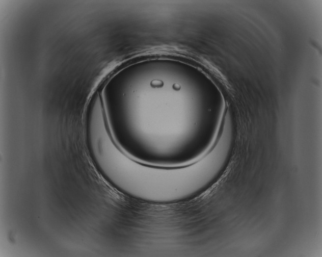 X0000097881224200803281216