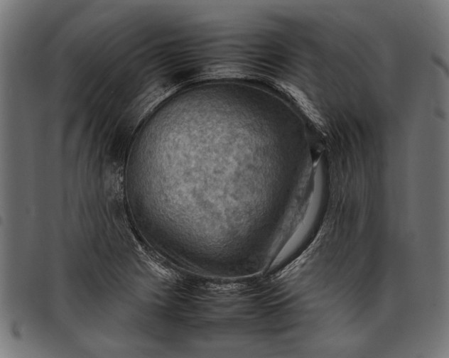 X0000097881225200803281216