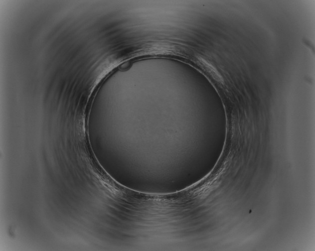 X0000097881226200803281216