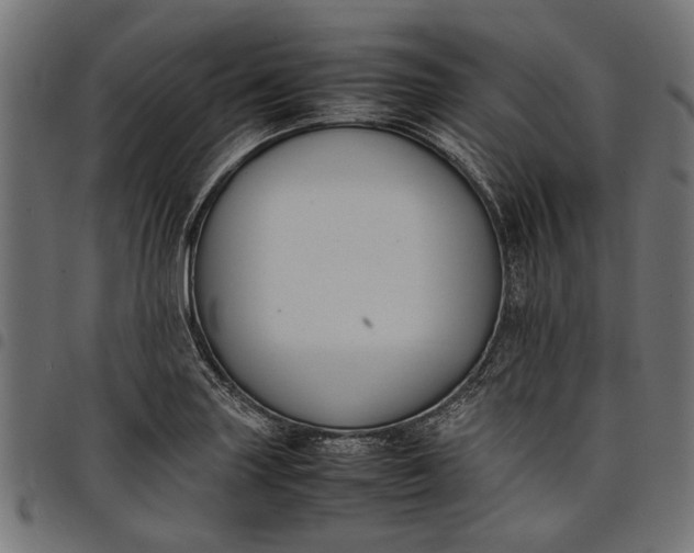 X0000097881227200803281216