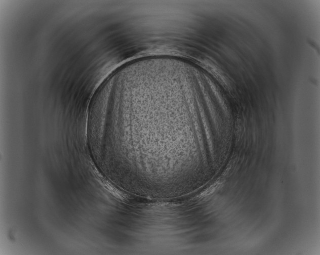 X0000097881228200803281216