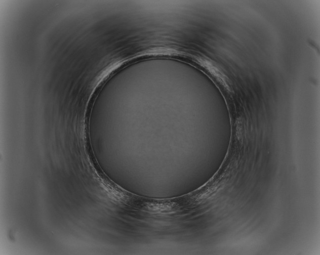 X0000097881229200803281216