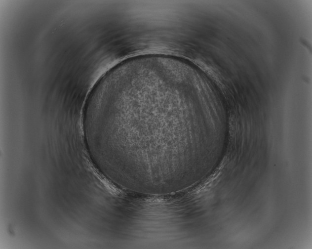 X0000097881230200803281216