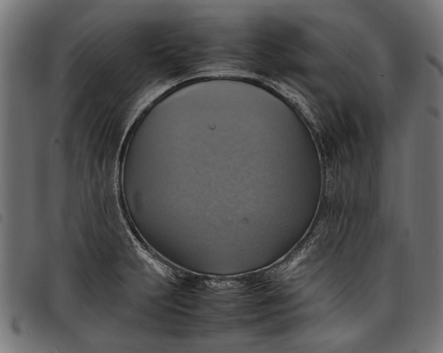 X0000097881231200803281216