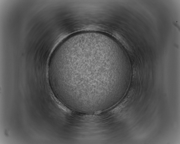 X0000097881232200803281216