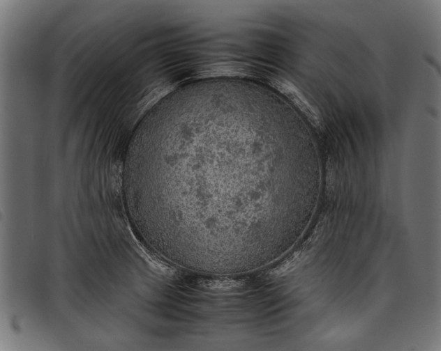 X0000097881233200803281216