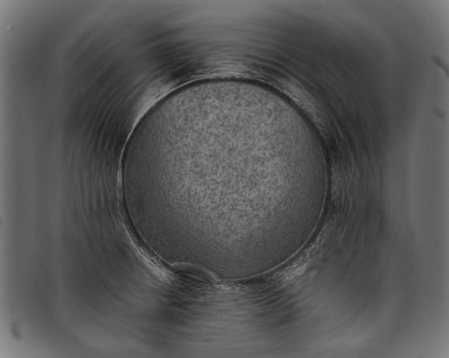 X0000097881234200803281216