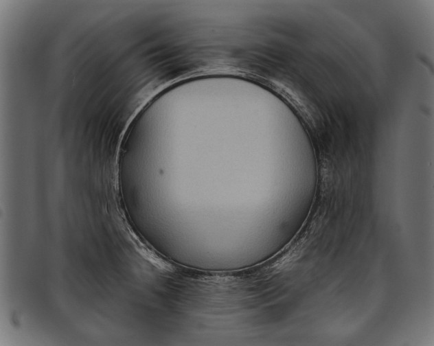 X0000097881236200803281216