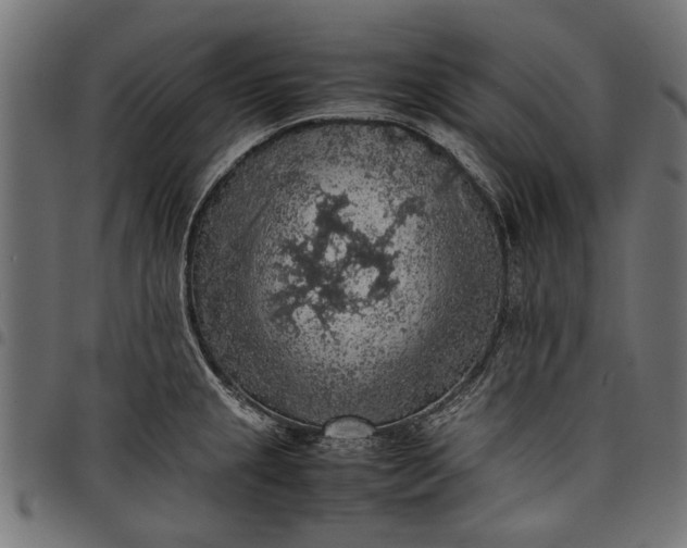 X0000097881237200803281216