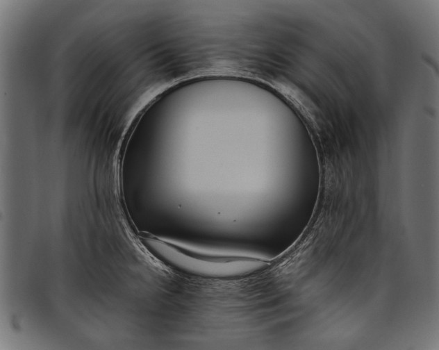 X0000097881238200803281216