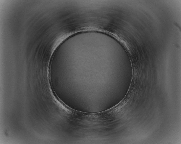 X0000097881239200803281216