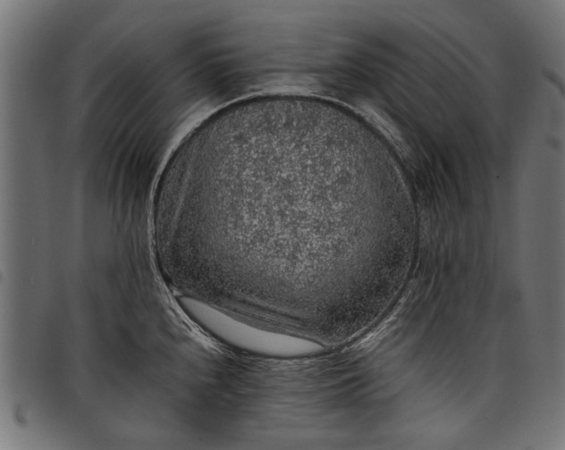 X0000097881240200803281216