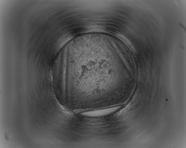 X0000097881241200803281216