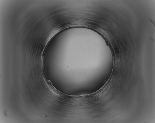 X0000097881242200803281216