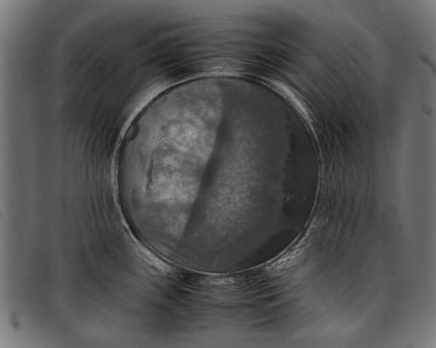 X0000097881243200803281216