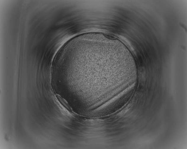 X0000097881244200803281216