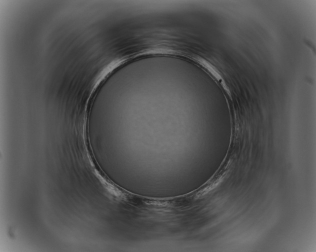 X0000097881245200803281216