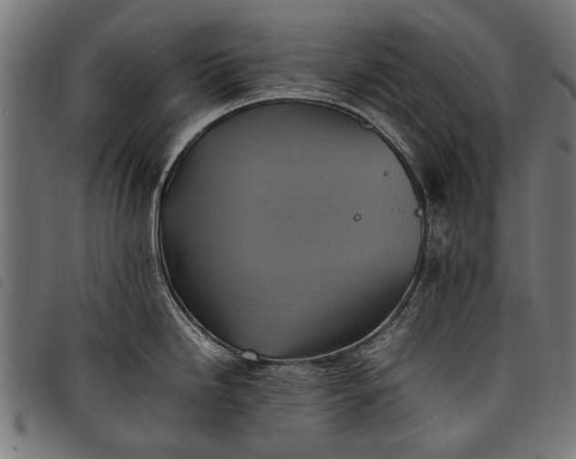 X0000097881246200803281216